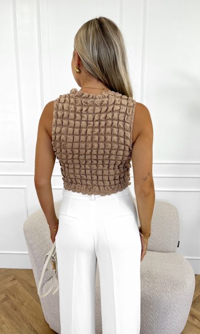 Ilaney top camel