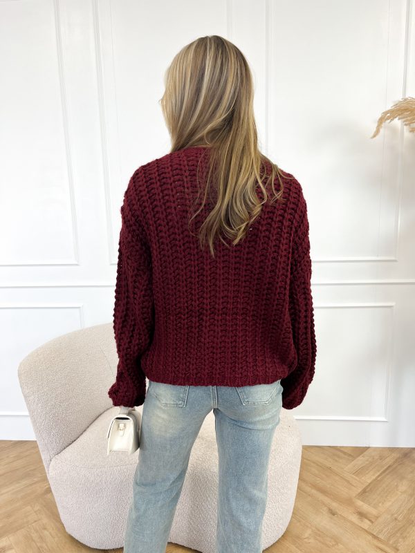 Eleanor vest bordeaux