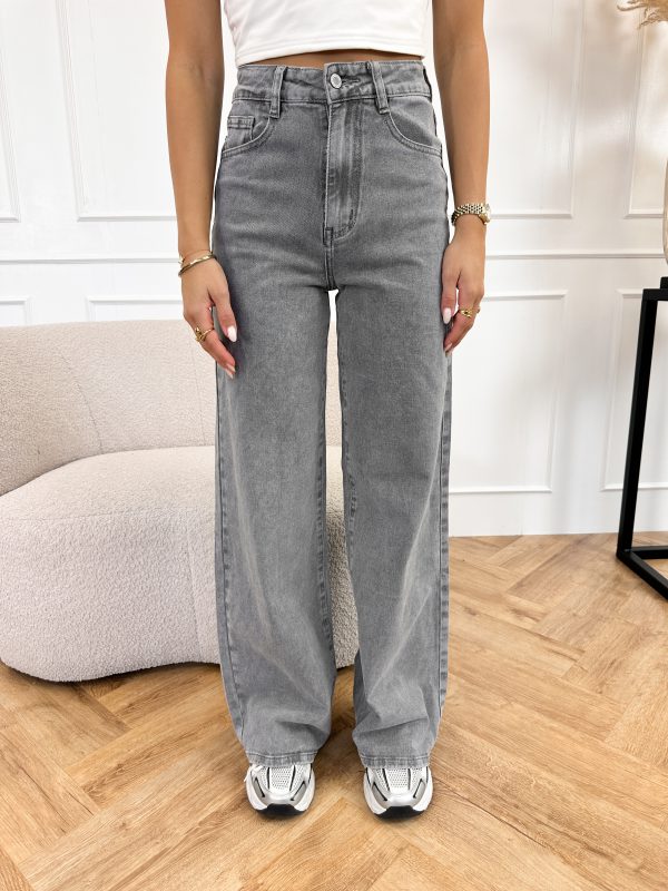 Djenna wide leg jeans grijs